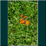 WhatsApp Image 2024-06-13 at 07.44.44(4).jpg